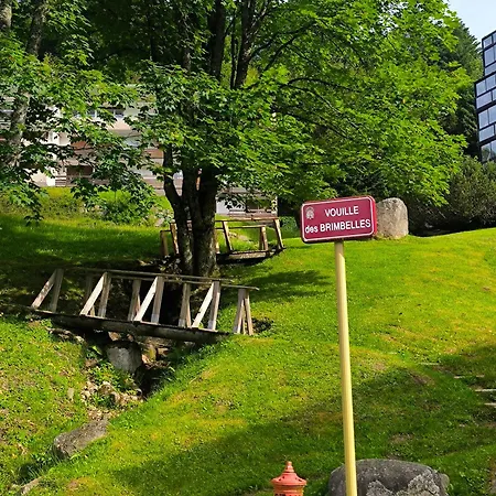 Apartamento La Bulle Des Sapins La Bresse Exterior foto
