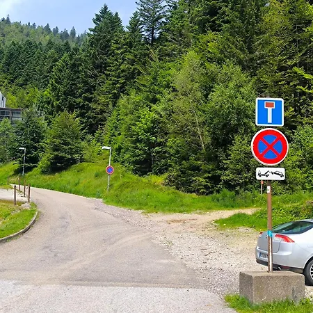 Apartamento La Bulle Des Sapins La Bresse Exterior foto